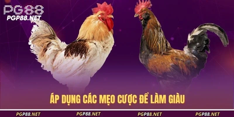 ap-dung-cac-meo-cuoc-de-lam-giau