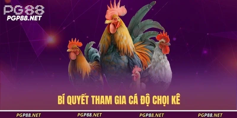 bi-quyet-tham-gia-ca-do-choi-ke