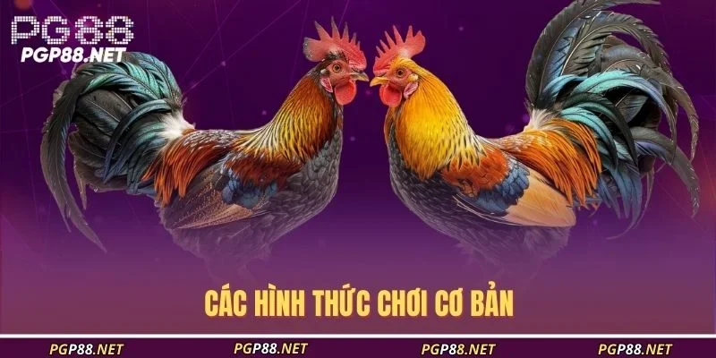 cac-hinh-thuc-choi-co-ban