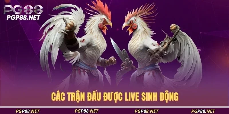 cac-tran-dau-duoc-live-sinh-dong