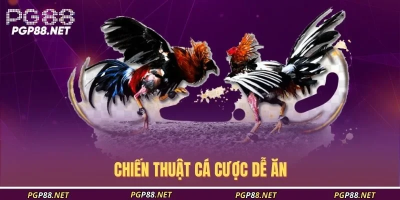 chien-thuat-ca-cuoc-de-an