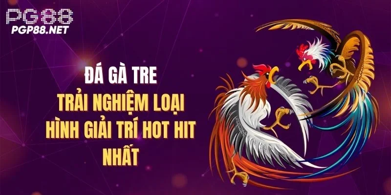 da-ga-tre-atrai-nghiem-loai-hinh-giai-tri-hot-hit-nhat
