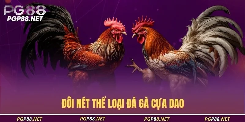 doi-net-the-loai-da-ga-cua-dao