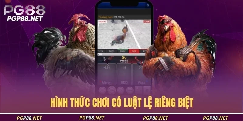 hinh-thuc-choi-co-luat-le-rieng-biet