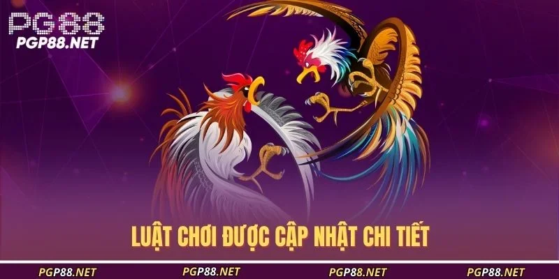 luat-choi-duoc-cap-nhat-chi-tiet