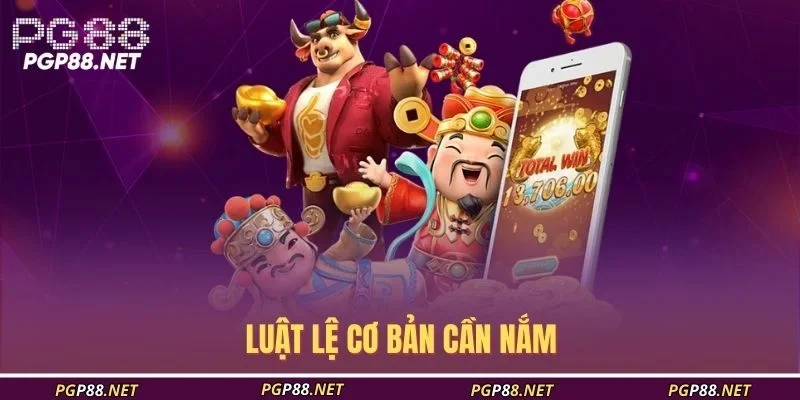 luat-le-co-ban-can-nam