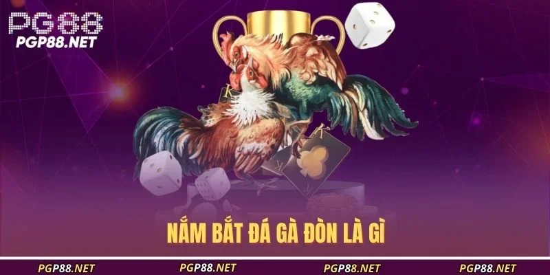 nam-bat-da-ga-don-la-gi