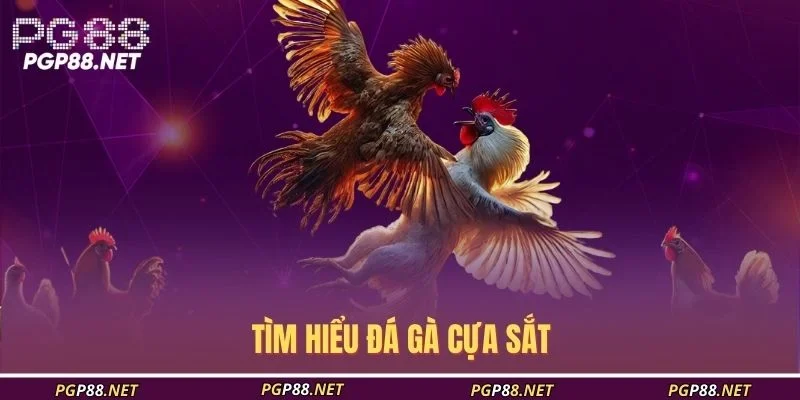 tim-hieu-da-ga-cua-sat